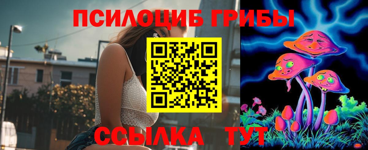 Псилоцибиновые грибы Psilocybe  Галлюциногенные грибы мицелий  Вход с VPN  Сунжа 